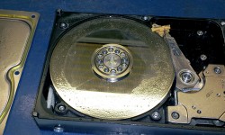 Time is of the essence